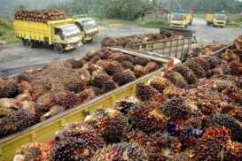 Setelah Indonesia, Giliran Malaysia Larang Label Bebas Minyak Sawit